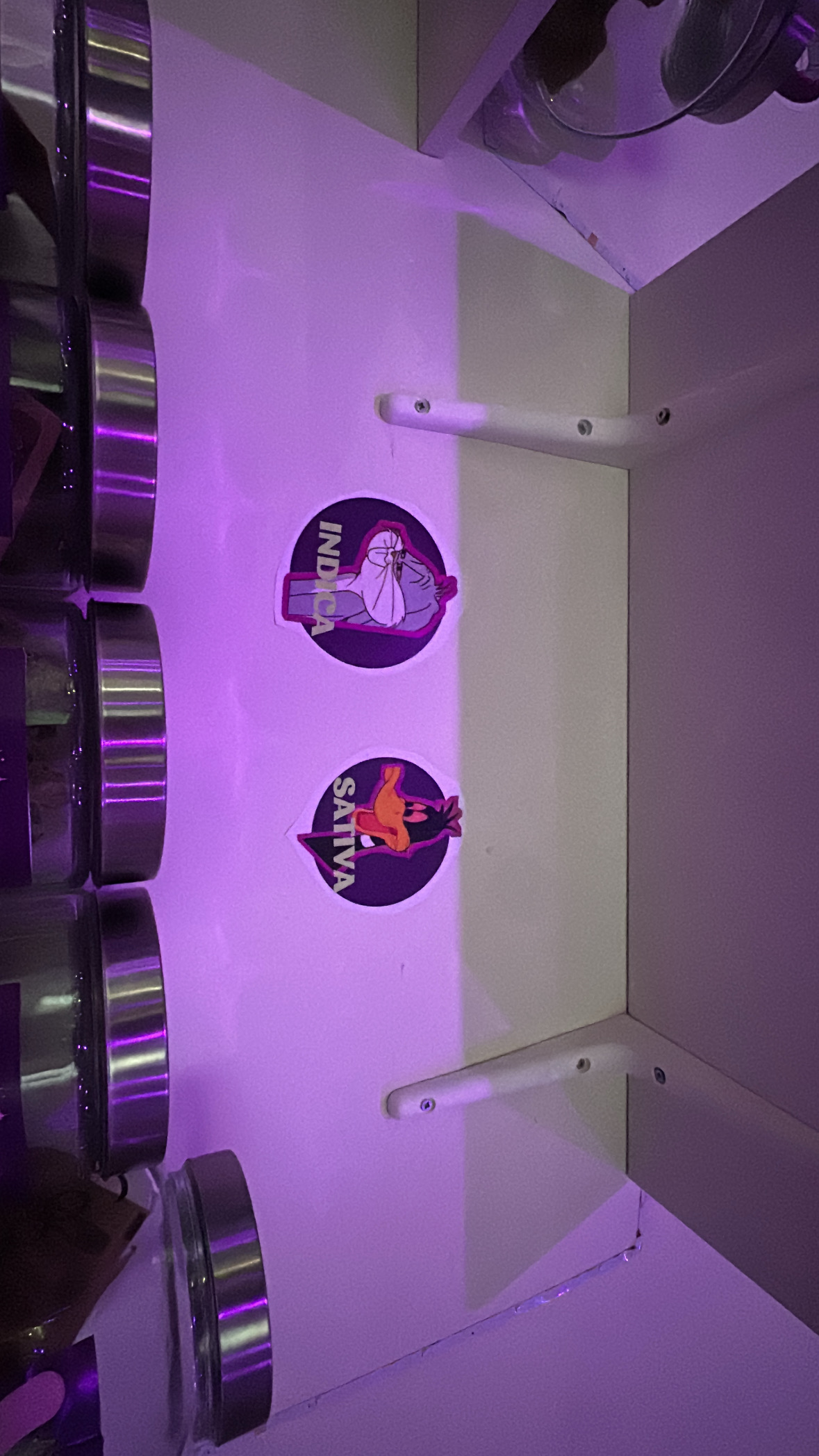 Sativa o Indica no hay mejor manera de diferenciarla