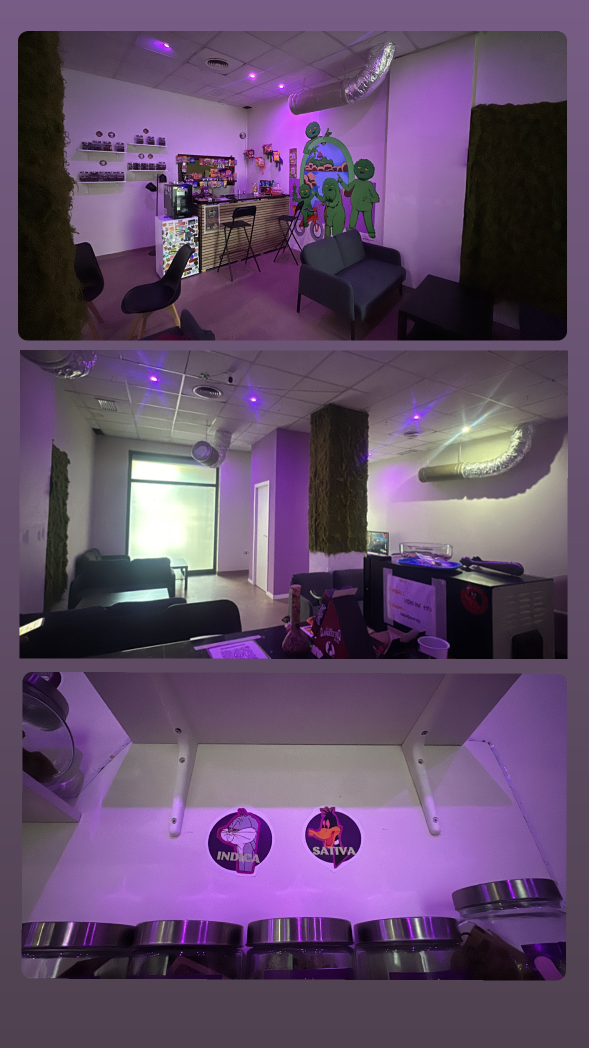 Collage del diseño único y relajante que se encuentra en Green Dome